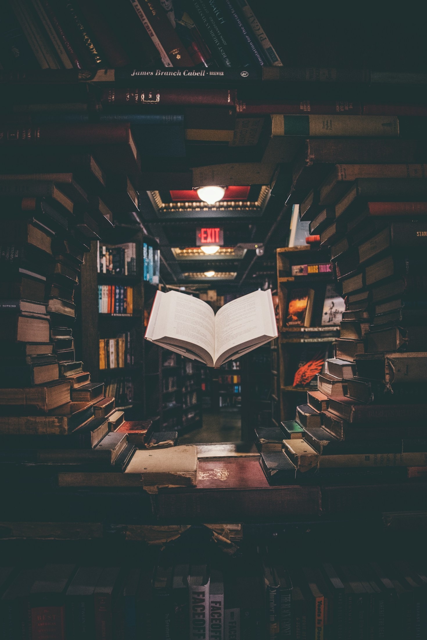Dicas de Leitura para Reduzir o Estresse